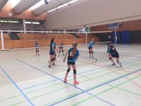 volley (8)